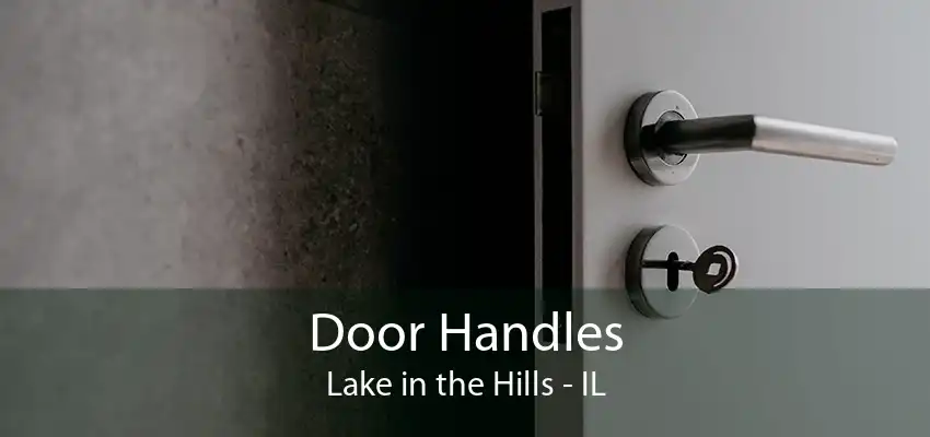 Door Handles Lake in the Hills - IL