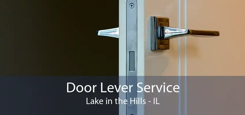 Door Lever Service Lake in the Hills - IL